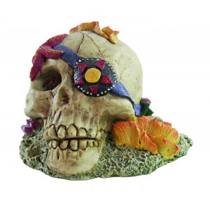 HAQUOSS KORAL SKULL 2 - 15x12x11h cm